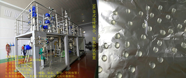 祝賀國內(nèi)首套釜式連續(xù)加氫中試成套裝置一次出料成功！.jpg